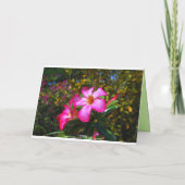 ハッピーバースデーデザートバラフラワーズアットシュガーミル カード (裏面)