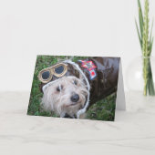 ハッピーバースデートップドッグの私たちのパックかわいい子犬 カード (正面)