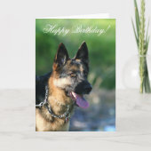 ハッピーバースデードイツの羊飼いグリーティングカード カード (正面)