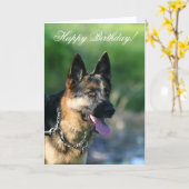 ハッピーバースデードイツの羊飼いグリーティングカード カード (黄色い花)