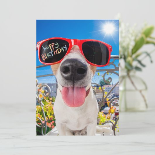 ハッピーバースデードッグインサングラス シーズンカード (スタンド正面)