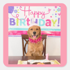 ハッピーバースデードッグパーティーとマイダグ スクエアシール