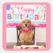 ハッピーバースデードッグパーティーとマイダグ スクエアシール (正面)