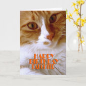 ハッピーバースデードータースイートキャット カード (黄色い花)