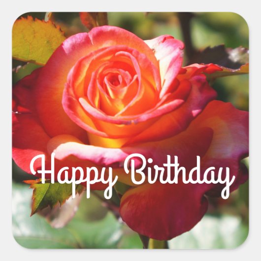 ハッピーバースデード来リームトゥルバラ#2ステッカー スクエアシール (正面)