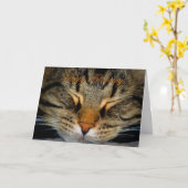 ハッピーバースデーネコ子猫誕生日の願い カード (黄色い花)
