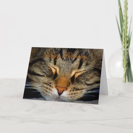 ハッピーバースデーネコ子猫誕生日の願い カード (正面)