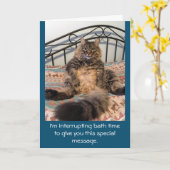 ハッピーバースデーバスタイムキンバーキャット カード (黄色い花)