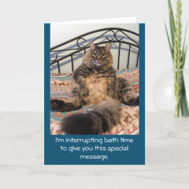 ハッピーバースデーバスタイムキンバーキャット カード