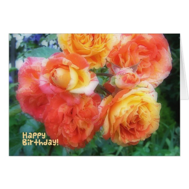 ハッピーバースデーバラ (正面横)