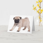ハッピーバースデーパグ子犬 – 内部の詩 カード (黄色い花)