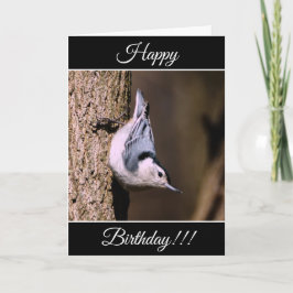 ハッピーバースデーパーソナライズされた Nuthatchカード カード