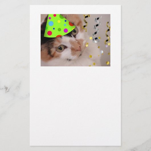 ハッピーバースデーパーティーカリコネコ 便箋 (正面)