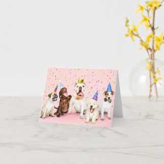 ハッピーバースデーパーティー動物 カード