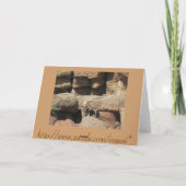 ハッピーバースデービグーンシープカード カード (裏面)