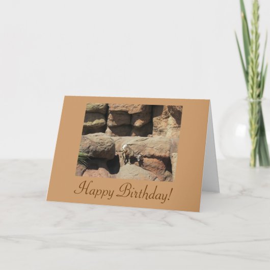 ハッピーバースデービグーンシープカード カード (正面)