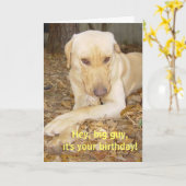 ハッピーバースデービッグガイ カード (黄色い花)