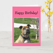 ハッピーバースデーピットブルグリーティングカード カード (黄色い花)