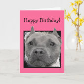 ハッピーバースデーピットブルグリーティングカード カード (黄色い花)