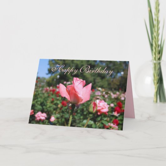 ハッピーバースデーピンクローズインガーデン カード (正面)