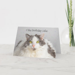 ハッピーバースデーファットキャットライツお誕生日ケーキ シーズンカード