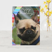 ハッピーバースデーフランスのブルドッググリーティングカード カード (黄色い花)