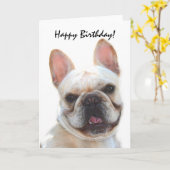 ハッピーバースデーフランスのブルドッググリーティングカード カード (黄色い花)