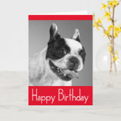 ハッピーバースデーフランスのブルドッグパピーカード – 詩 カード (黄色い花)