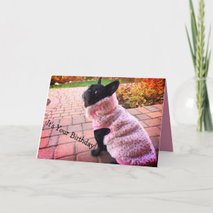 ハッピーバースデーフランスのブルドッグ カード