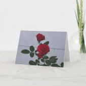 ハッピーバースデーフレンドイエローケーキ カード (裏面)