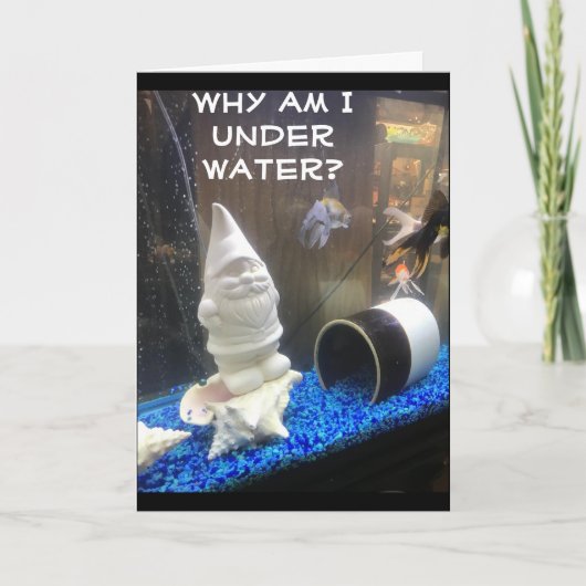 ハッピーバースデーフロムユーモアのある格言 カード (正面)