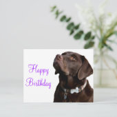 ハッピーバースデーブラウンラブラドールリトリエバーパピードッグ ポストカード (スタンド正面)