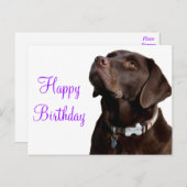 ハッピーバースデーブラウンラブラドールリトリエバーパピードッグ ポストカード (正面/裏面)
