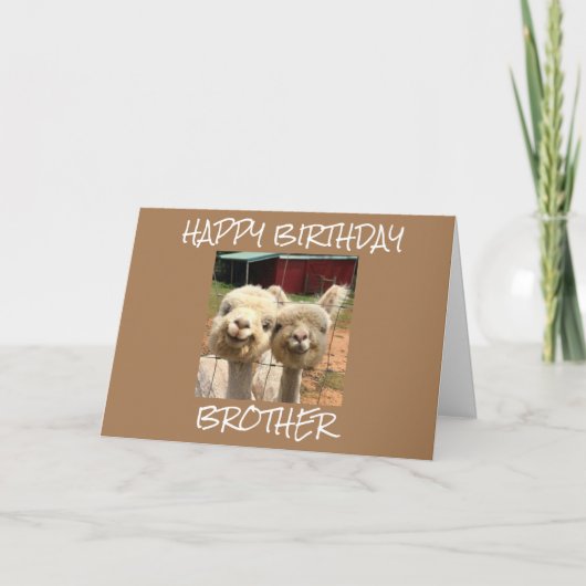 **ハッピーバースデーブラザー**かわいいアルパカスカード カード (正面)
