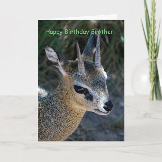 ハッピーバースデーブラザー カード (正面)