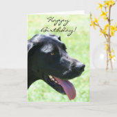 ハッピーバースデーブラックグレートデーングリーティングカード カード (黄色い花)
