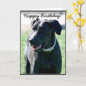 ハッピーバースデーブラックグレートDaneグリーティングカード カード (黄色い花)