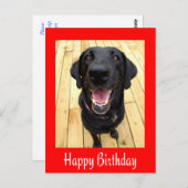 ハッピーバースデーブラックラブラドールリトリーブポストカード ポストカード (正面/裏面)