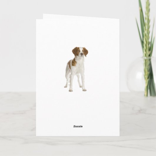 ハッピーバースデーブリタニースパニエル犬子犬用カード カード (裏面)