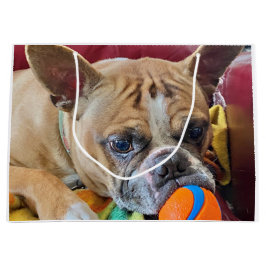 ハッピーバースデーブリンドルボスチオンテリア ラージペーパーバッグ