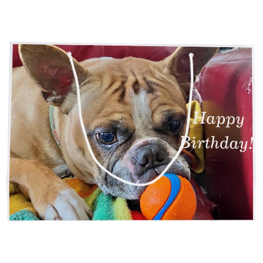 ハッピーバースデーブリンドルボスチオンテリア ラージペーパーバッグ (裏面)