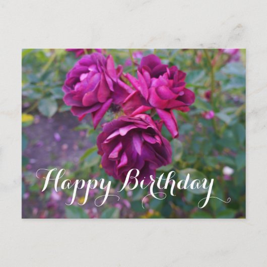 ハッピーバースデーブルガンディアイスバーグバラ#3はがき ポストカード (正面)