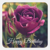 ハッピーバースデーブルゴーディアイスバーグバラ#1シール スクエアシール (正面)