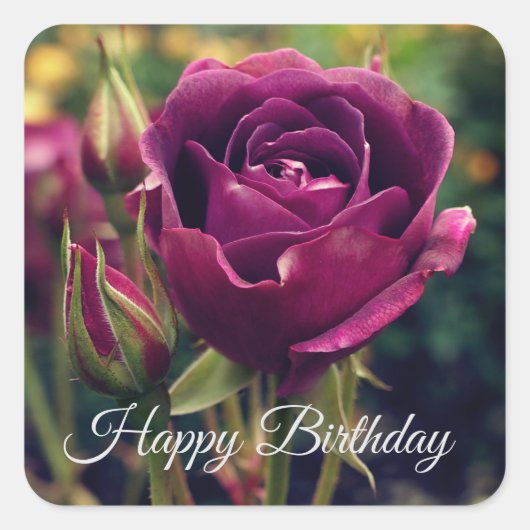 ハッピーバースデーブルゴーディアイスバーグバラ#1シール スクエアシール (正面)