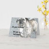 ハッピーバースデーブルドッグ カード (黄色い花)