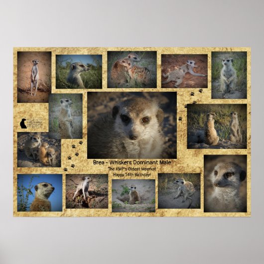 ハッピーバースデーブレアポスター ポスター (正面)