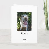 ハッピーバースデープリマ カード (裏面)