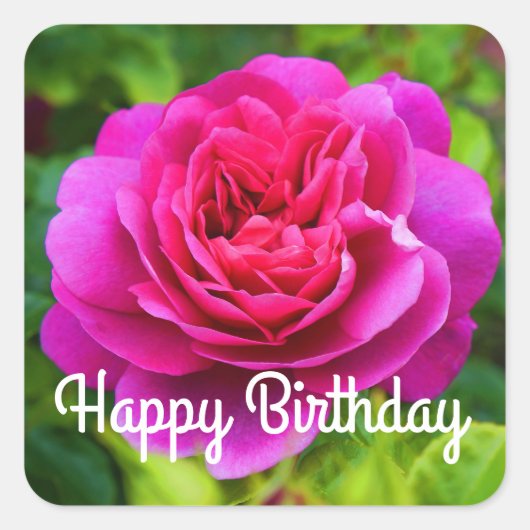 ハッピーバースデープリンセスアンバラ#1ステッカー スクエアシール (正面)