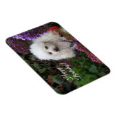 ハッピーバースデープードルドッグ磁気カード マグネット (右側)