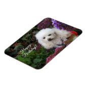 ハッピーバースデープードルドッグ磁気カード マグネット (左側)